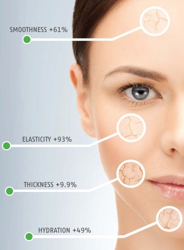 Rejuven8 Face Rejuven8 Face skin key points